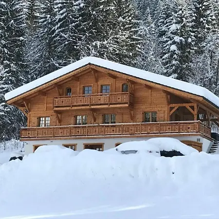 Chalet 4* Pour 15 Pers. Avec Jacuzzi, Balcon Et Poele A Bois, Proche Du Telecabine Du Linga Et Super-chatel - Fr-1-676-26