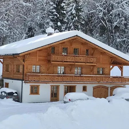 Chalet 4* Pour 15 Pers. Avec Jacuzzi, Balcon Et Poele A Bois, Proche Du Telecabine Du Linga Et Super-chatel - Fr-1-676-26